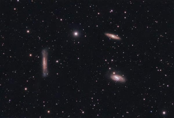 Leo Triplet - Astrophotography