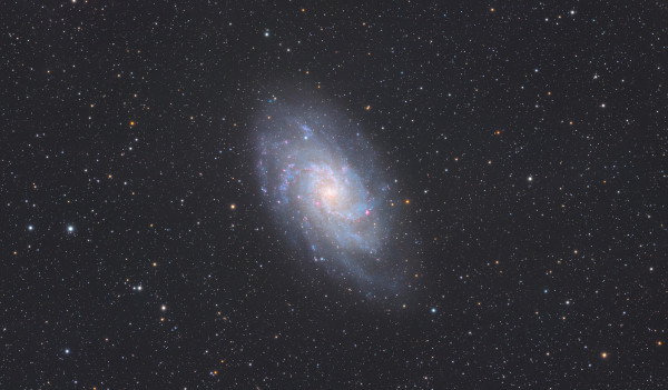 M 33