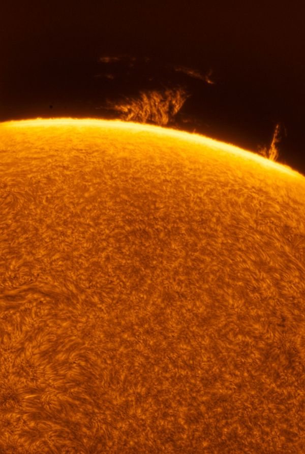 Solar Prominences 08.10.2022 - Astrophotography