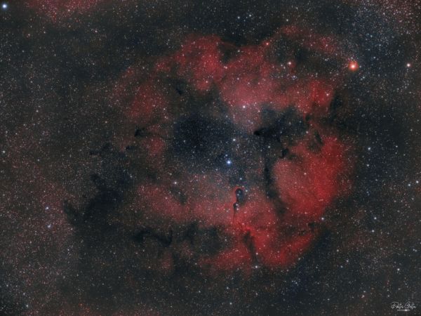 IC1396, Elephant's trunk nebula - Astrophotography