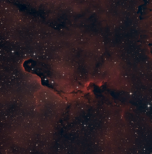 IC1396a - Elephant's Trunk Nebula - Astrophotography