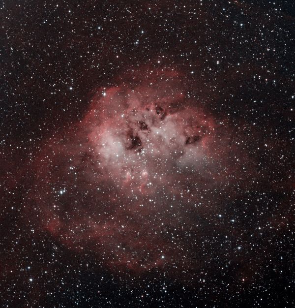 The Tadpoles Nebula IC 410 in 1.5 hours - Astrophotography