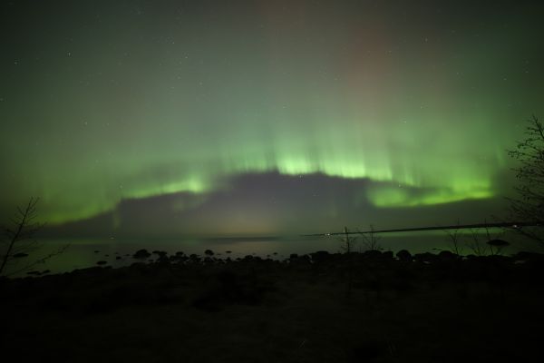 Night Aurora - Astrophotography