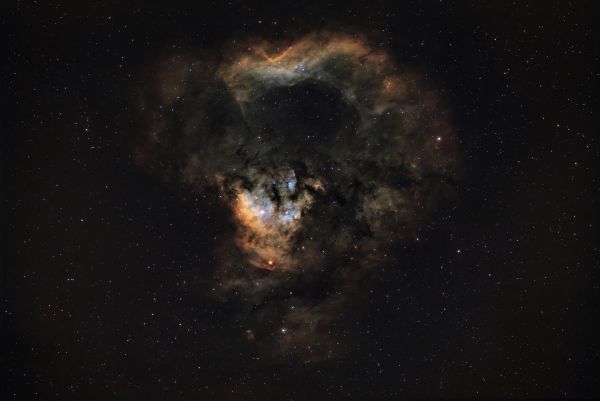 NGC78822 - Astrophotography