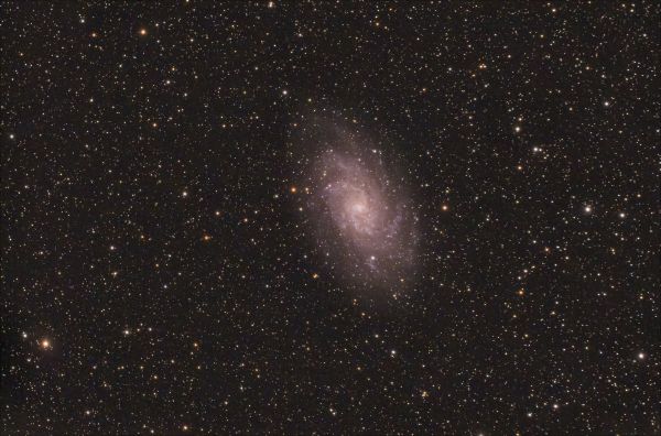 Galaxy in Triangulum M 33 - Astrophotography