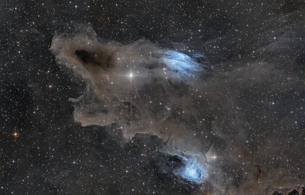 LDN1235 - Shark - Astrophotography