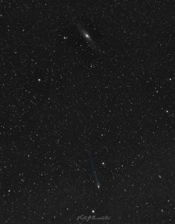 Comet Pons Brooks - Astrophotography