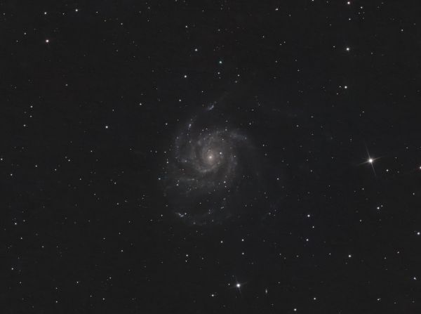 Pinwheel Galaxy (m 101) - Astrophotography