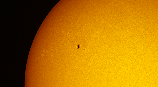 Sunspots from June 24, 2022 - Astrophotography