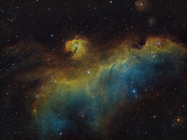 IC2177 - The Seagull Nebula - Astrophotography