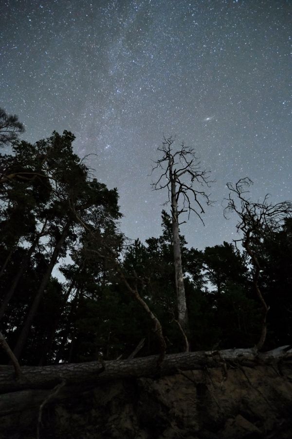 DC + M31 / 09.2022 - Astrophotography