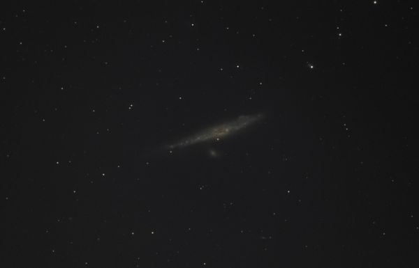 NGC 4631 - Astrophotography