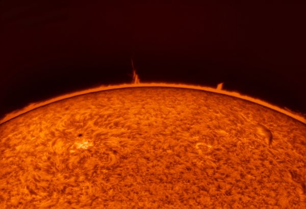 Active Region 3042 and a prominence on July 1, 2022. - Astrophotography