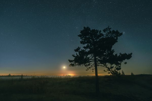 Moonrise - Astrophotography