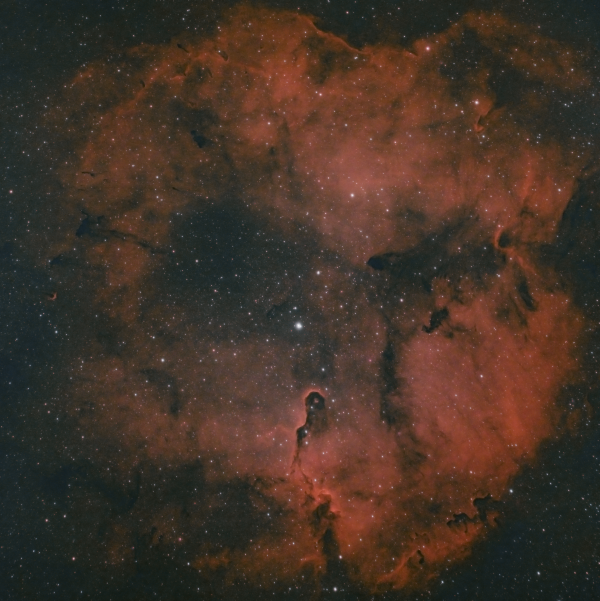 IC 1396 - Astrophotography