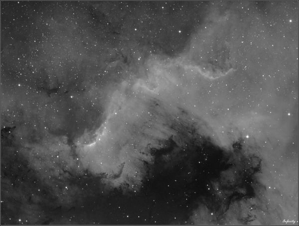 A section of the North America Nebula (NGC 7000) - Astrophotography