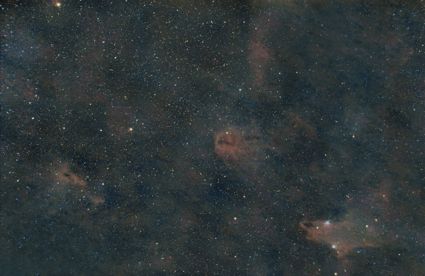 Shark Nebula LDN 1235, Lynds Nebula LDN 1251, dust in Cepheus - Astrophotography