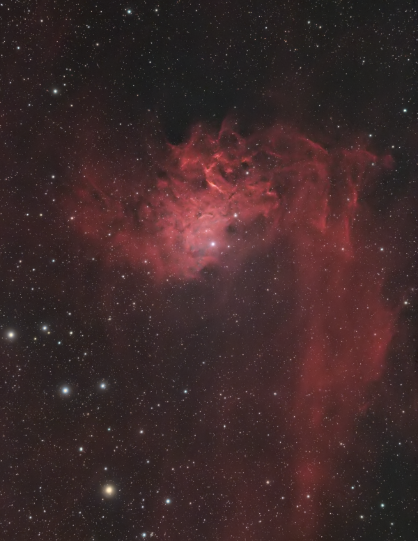 The Flaming Star Nebula (SH 2-229) - Astrophotography