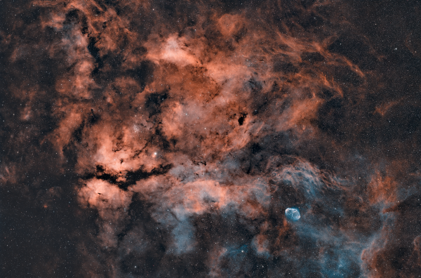 Sadr Region (HOO+SHO) - Astrophotography