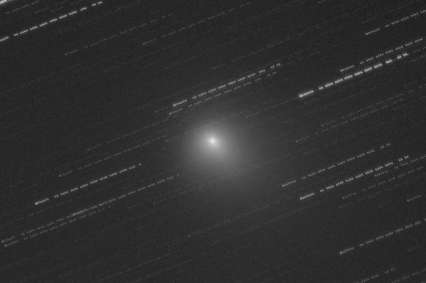 Comet C/2023 E3 (ZTF) 03-02-2023 - Astrophotography