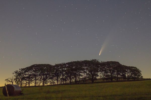 Comet C/2020 F3 NEOWISE - Astrophotography
