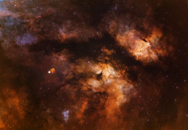 Sadr and the Butterfly Nebula - Astrophotography