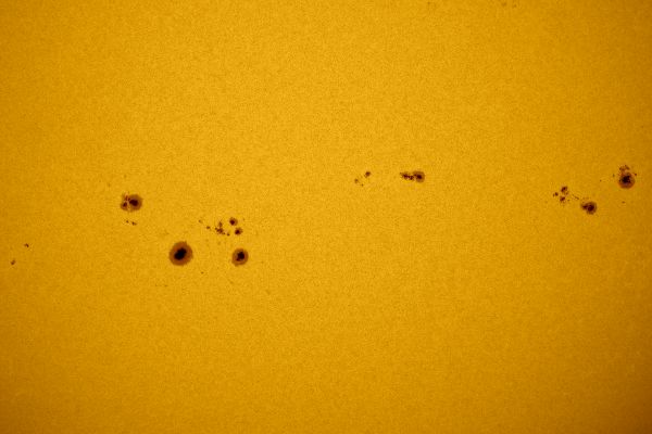 Sun. Sunspot groups: #3679, #3684, #3685, #3686 - Astrophotography