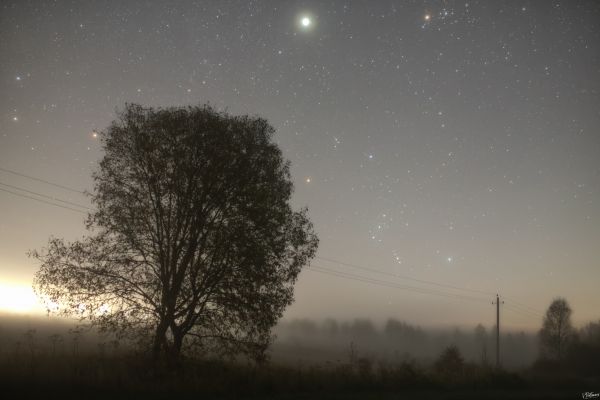 Encounter with Orion - Astrophotography