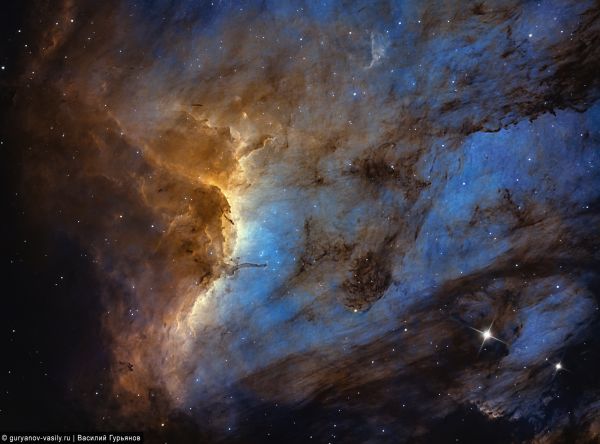Pelican Nebula IC 5070 - Astrophotography
