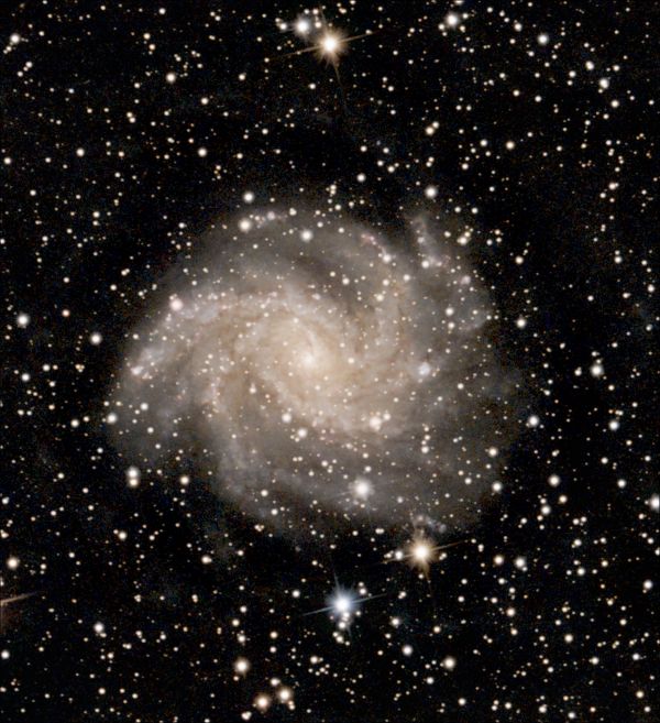 NGC 6946 - Astrophotography