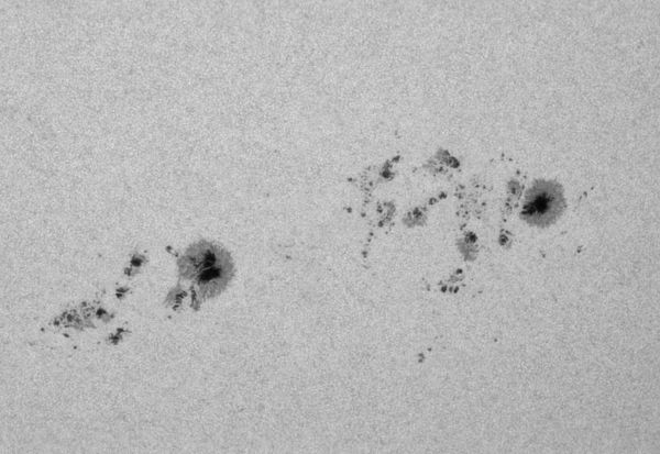 Sun - sunspot groups AR13774, 3777, 3779 07.08.2024 10:11 (GMT +5) - Astrophotography