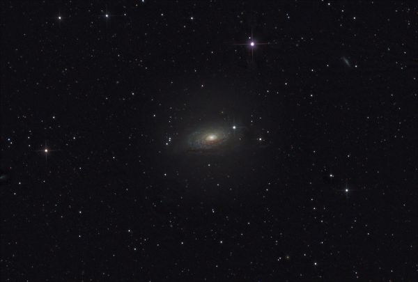 Sunflower Galaxy. M63 - Sunflower Galaxy. - Astrophotography