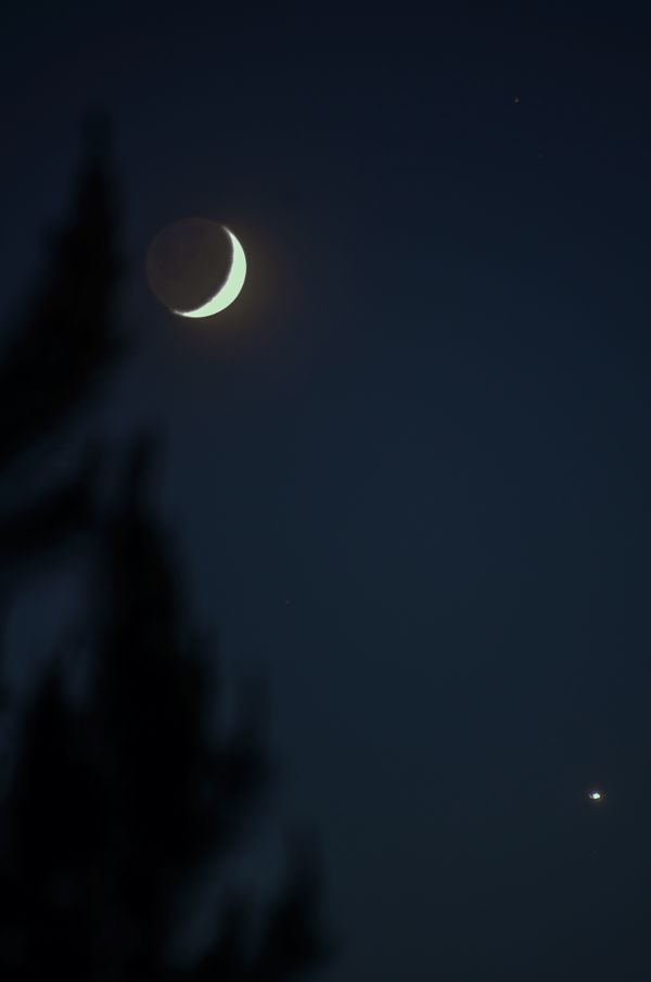 The Moon and Venus - Astrophotography