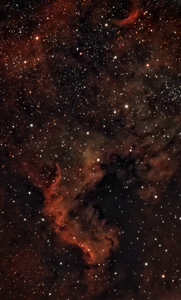 North America Nebula (NGC 7000) and the 