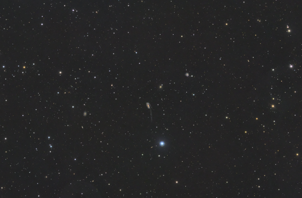 Tadpole Galaxy in Draco UGC10214 - Astrophotography
