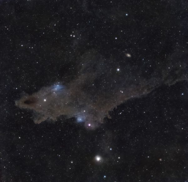 LDN 1235 - Astrophotography