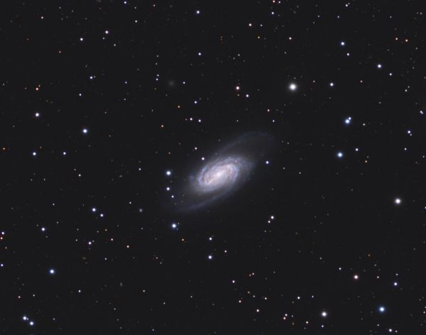 NGC 2903 (processing in the new version of Siril 1.4.0.) - Astrophotography