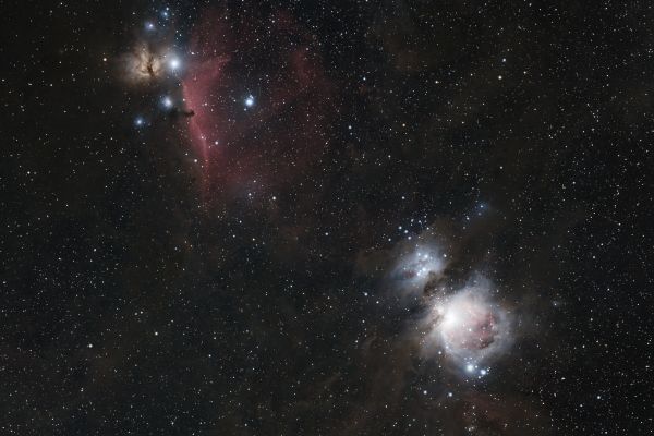 M42 and the Horse - Astrophotography