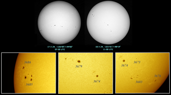 Solar activity during AF-2024 - Astrophotography