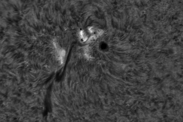 2020.06.07 Sun AR12765 H-Alpha - Astrophotography