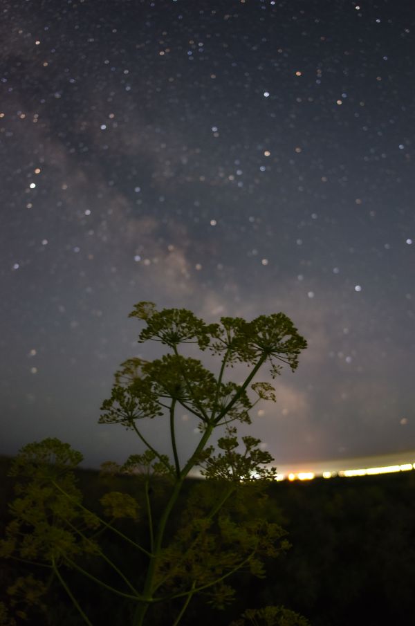Milky way - Astrophotography