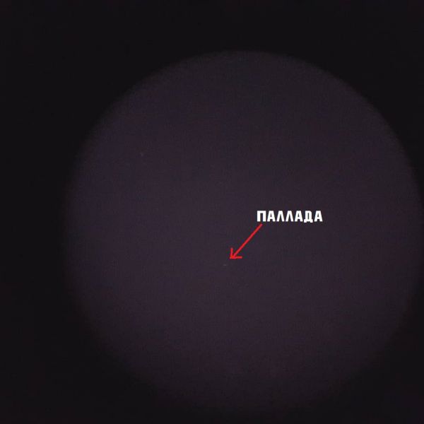 Asteroid Pallas - Astrophotography