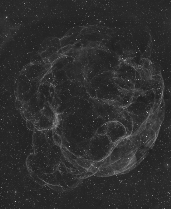 Spaghetti Nebula (Simeis 147,  Sharpless 2-240) - Astrophotography