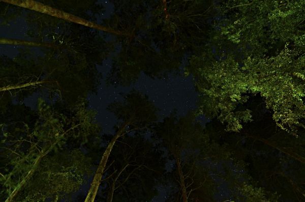 To the stars - Astrophotography