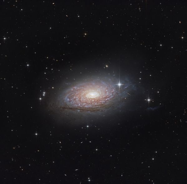 Sunflower Galaxy M63 - Astrophotography
