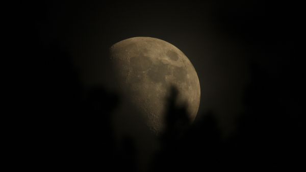 The Moon hiding among the branches on July 28th - Astrophotography
