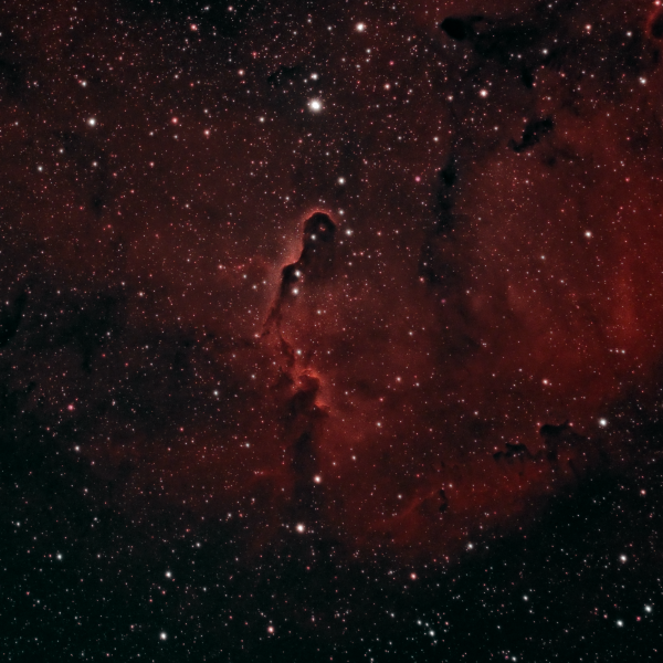 IC 1396 (Elephant's Trunk Nebula) - Astrophotography