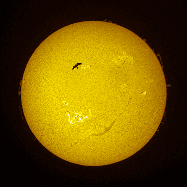 Sun and Bird from 06/02/2024 - Astrophotography