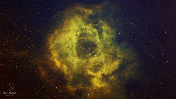 The Rosette Nebula NGC 2237 - Astrophotography