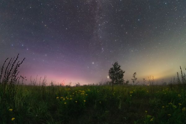Night, field, fog - Astrophotography